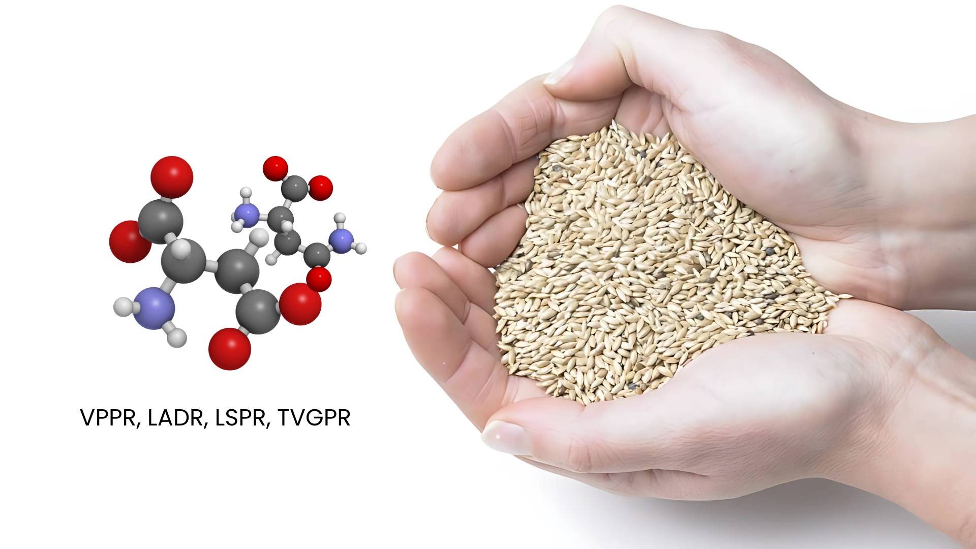 Food Trends: Purdue Research Foundation uses bioactive peptides to suppress hunger