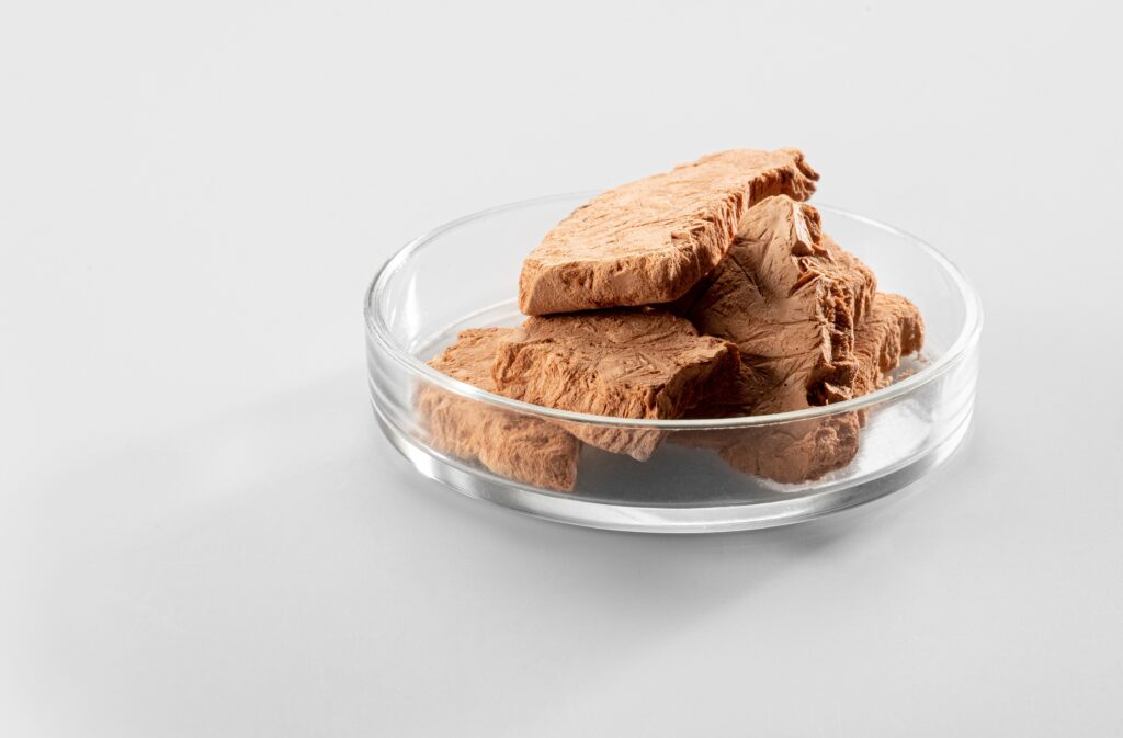 aio estonia palm oil substitute yeast fermentation factory cosmetics launch 4 1024x673