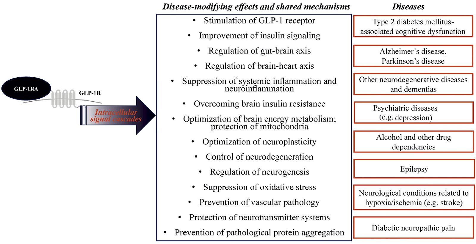 Key Applications of GLP-1 Drugs beyond obesity