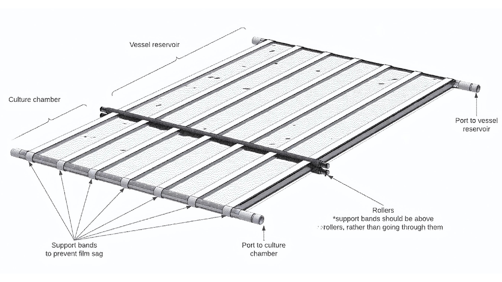 hoxton farms cell culture technology