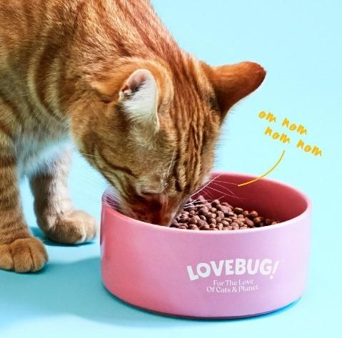 Pet Food Companies: Lovebug by Mars Petcare