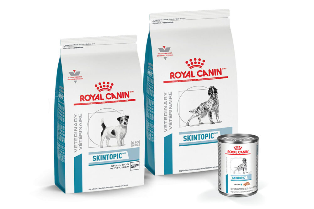 Pet Food Companies : Royal Canin by Mars Petcare