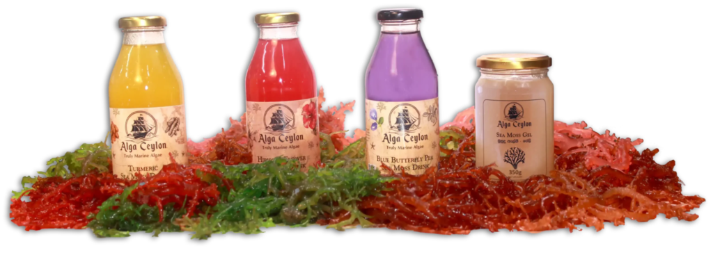 Fiber Fortification in Beverages