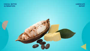Cocoa Butter Alternatives