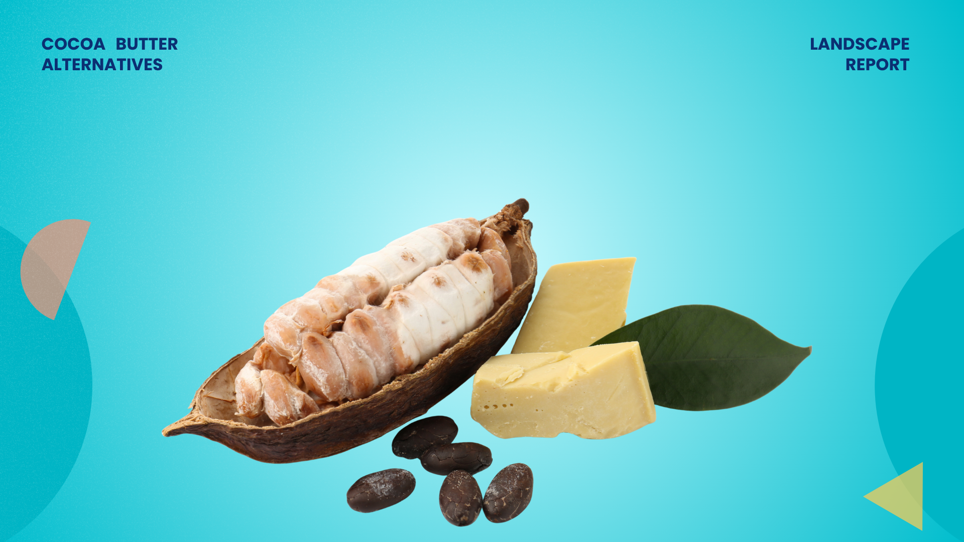 Cocoa Butter Alternatives